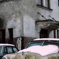 Portrait of Aiden Rivera